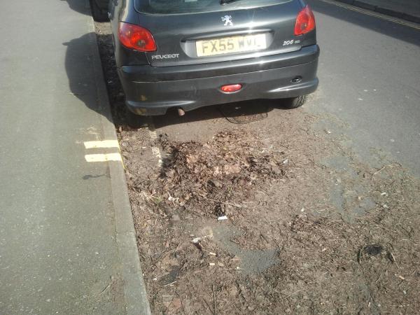 Croydon Street leaf litter