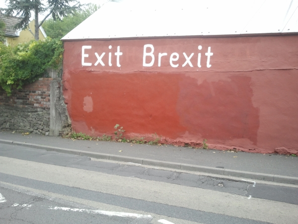 Garage wall featuring Exit Brexit slogan