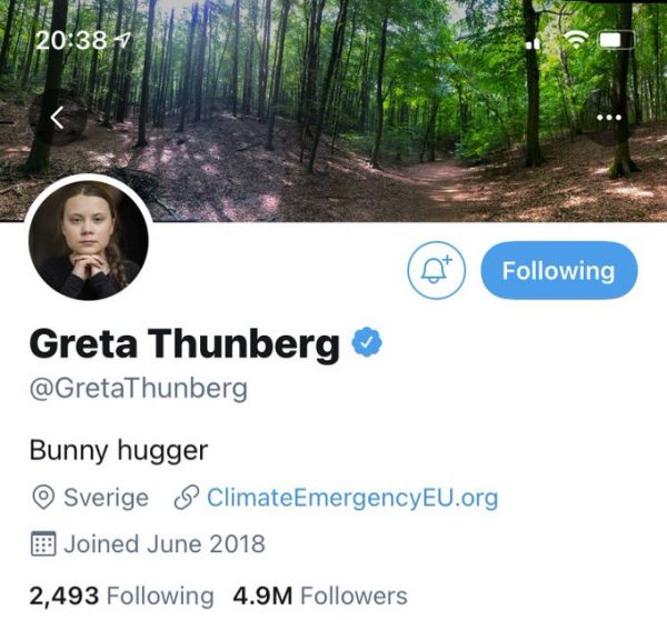 Screenshot of Greta Thunberg's Twitter bio, which now reads Bunny Hugger