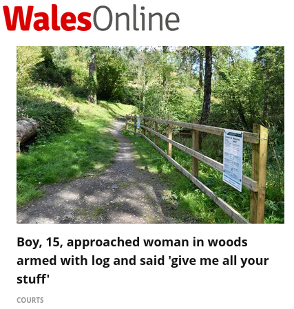 Headline reads; Boy, 15, approached woman in woods armed with log and said 'give me all your stuff'