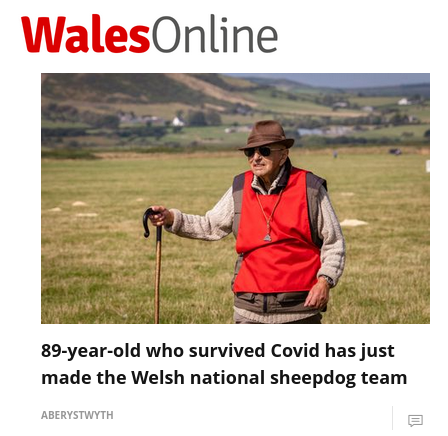 Headline reads: 89-year-old who caught Covid has just made the Welsh national sheepdog team