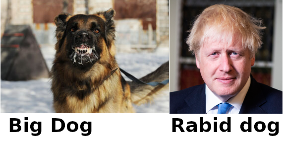 Rabid dog and BorisJohnson