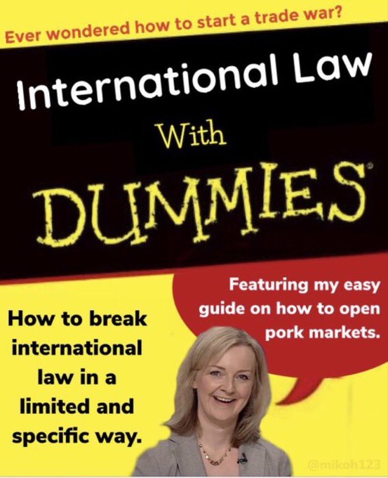 Parody book cover entitled International Law With Dummies