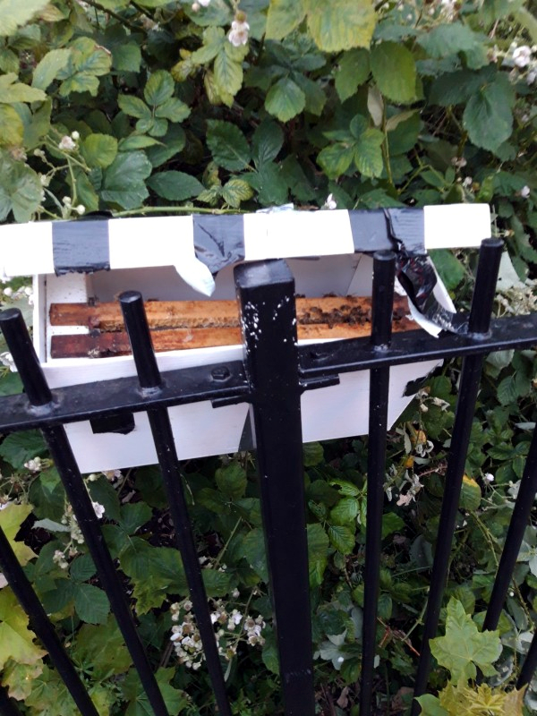 Note the two hive frames inside the box taped to the railings