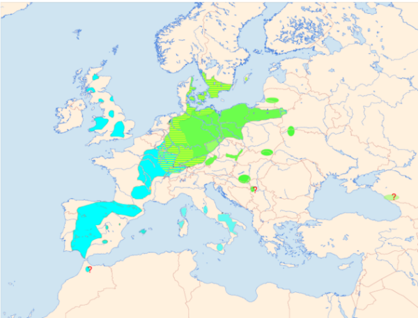 Red kite distribution. Map courtesy of Wikimedia Commons