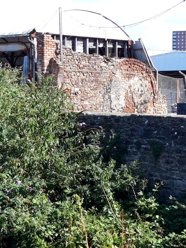 View of J. Scadding & Son's timber yard featuring brick remains of former tannery on the site
