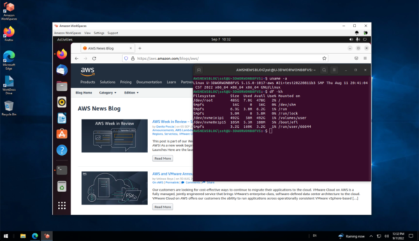 AWS Ubuntu virtual desktop