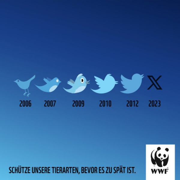 Text on graphic reads 'Protect our animal species before it's too late. Graphic shows Twitter logos from inception to present day