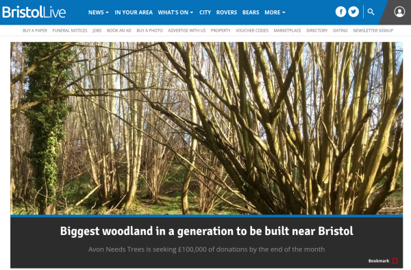 Biggest woodland in a generation to be built near Bristol