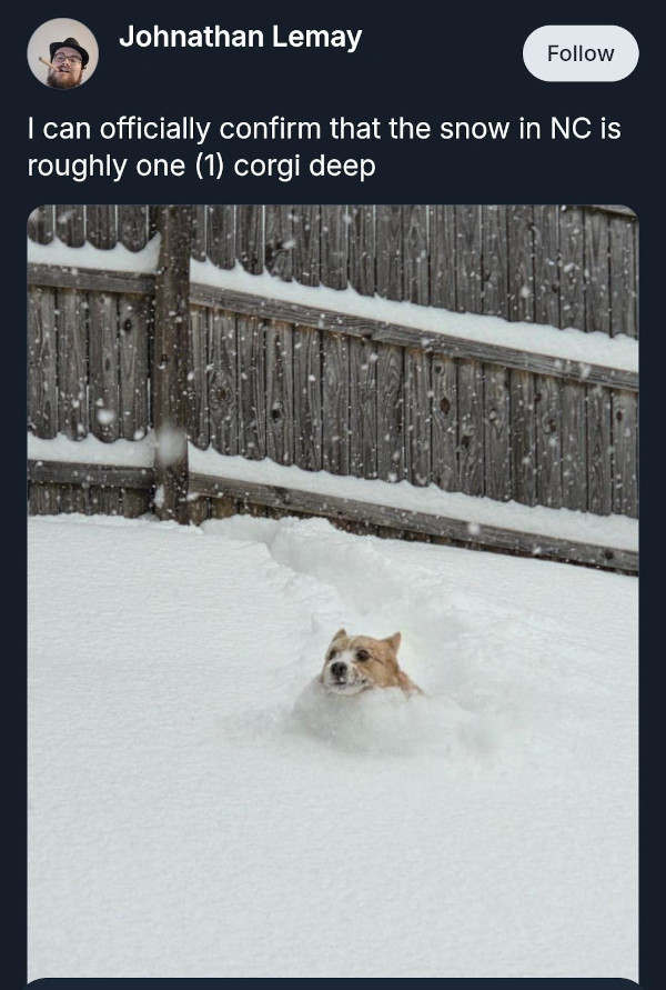 Post reads 'I can officially confirm that the snow in NC is now roughly one (1) corgi deep.'